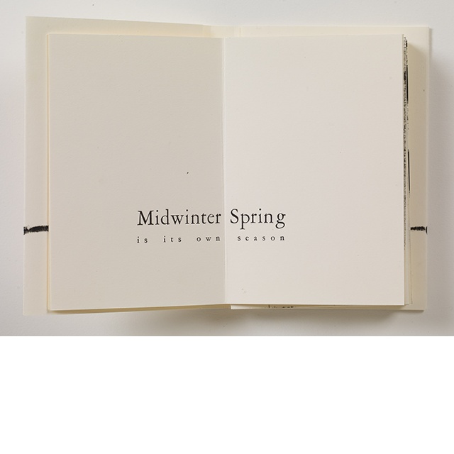Midwinter Spring